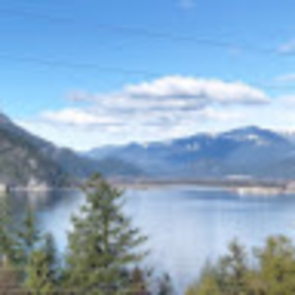 Meet your Posher, Chloe - Picture 1 of 1